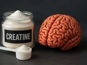 Creatine for muscle and brain: What science really says about strength, performance and safety