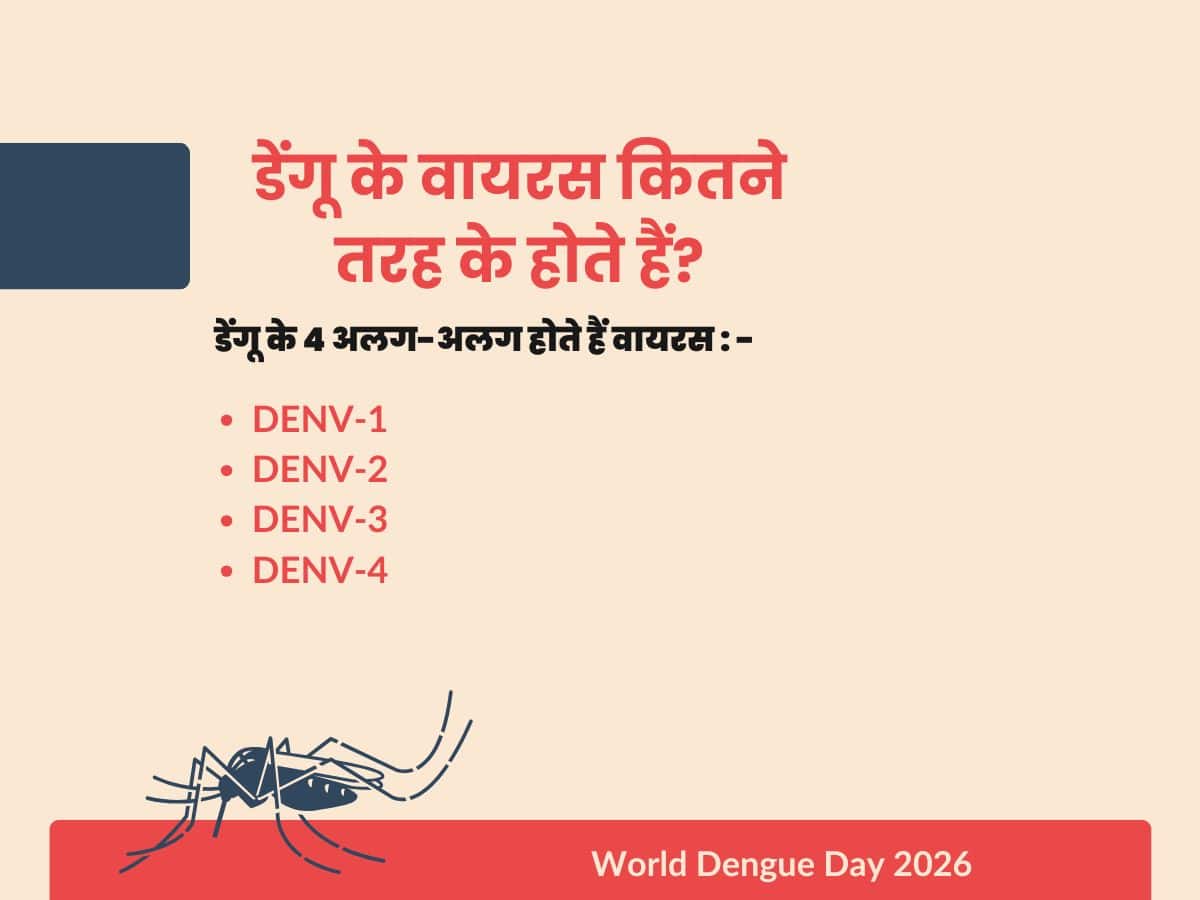 डेंगू के वायरस कितने तरह के होते हैं?