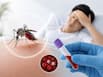 World Dengue Day 2026: Sudden platelet drop can turn a viral fever into a medical emergency | WATCH VIDEO