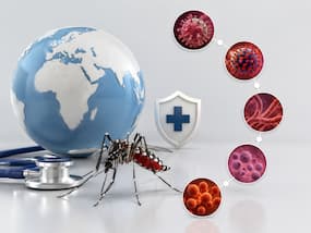 World Dengue Day 2026: List of diseases caused by mosquitoes