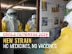 Ebola virus outbreak: WHO declares global health emergency after rare Ebola strain kills 88 in Congo - All about the deadly virus