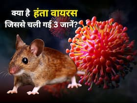 हंता वायरस क्या होता है और ये चूहों द्वारा कैसे फैलता है?