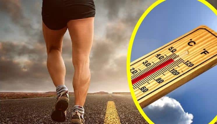 Heat matters for male fertility