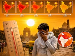 Nautapa 2026: Spot the difference between heat stroke and heat exhaustion Nautapa 2026: Spot the difference between heat stroke and heat exhaustion