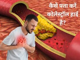 सीने में दर्द शुरू होने से पहले दिखते हैं ये बारीक लक्षण, हाई कोलेस्ट्रॉल की ओर करते हैं इशारा