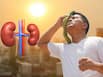 Kidney health in summer: Dehydration during heatwaves can lead to serious complications