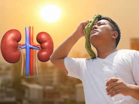 Kidney health in summer: Dehydration during heatwaves can lead to serious complications