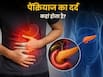 पैंक्रियाज का दर्द कहां होता है? जानें, इसके लक्षण और कब बन जाती है गंभीर स्थिति