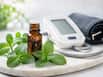 Peppermint oil may lower blood pressure in adults with mild hypertension, report suggests