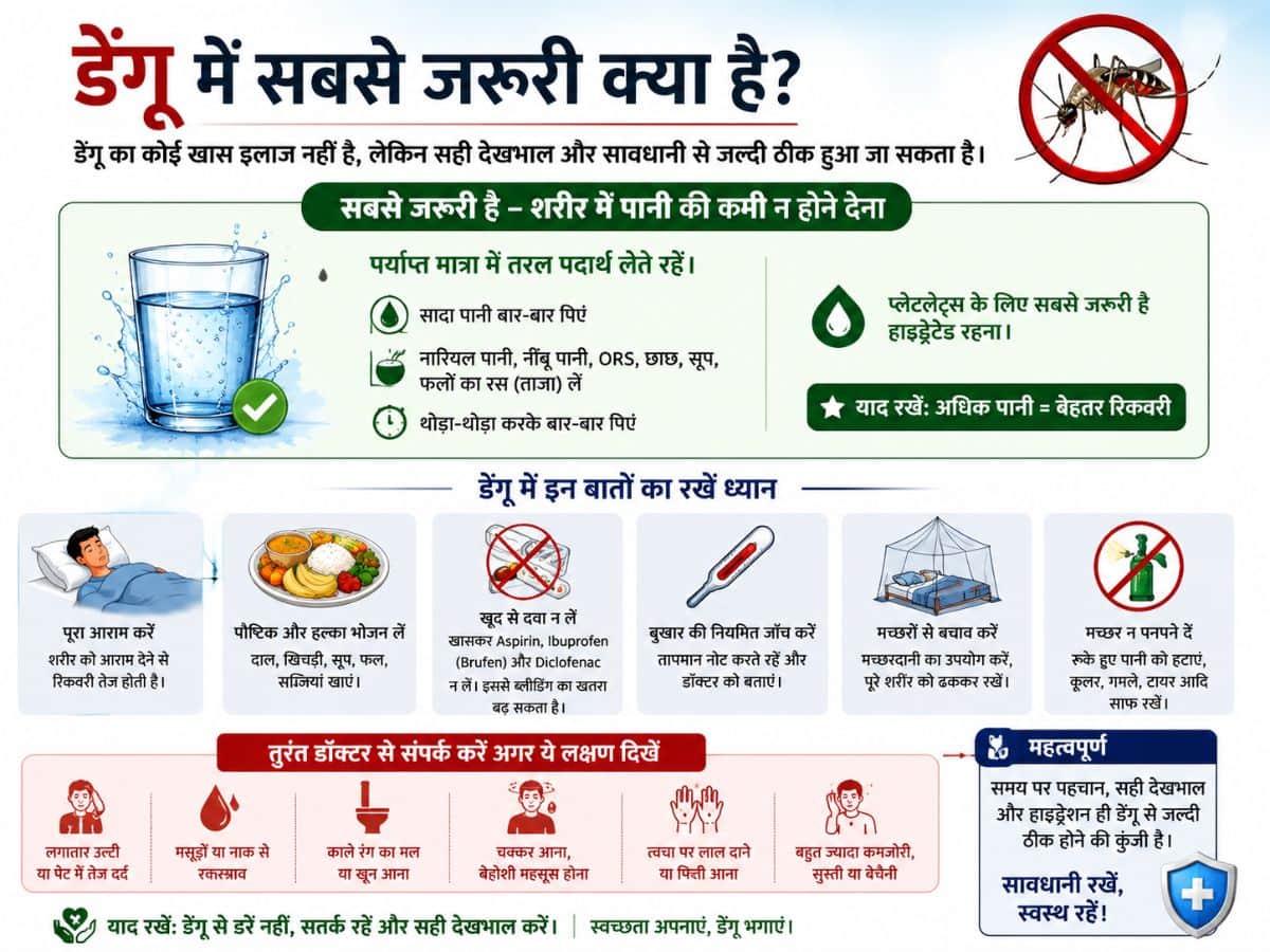 Prevention Tips for Dengue