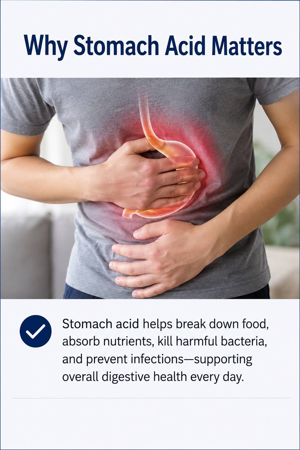 Stomach acid