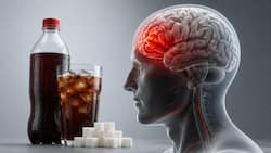 Thirst for sugary drinks may come at a cost to brain health: Study