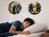Supportive neighbourhoods linked to healthier sleep habits among stressed teenagers: All you need to know
