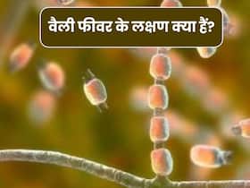 क्या है वैली फीवर? मिट्टी में छिपा वो जानलेवा फंगस जिसने ली कैलिफोर्निया में भारतीय इंजीनियर की जान