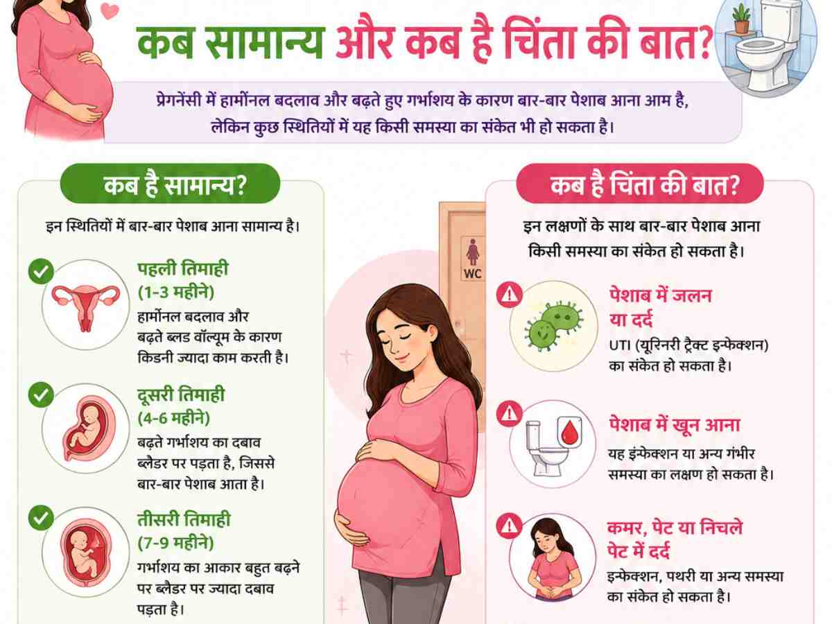 Urination In Pregnancy