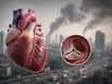Valvular heart disease patients face greater health risks from air pollution, study finds