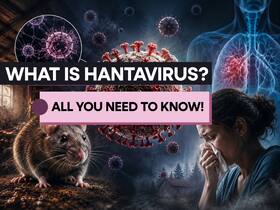 What is Hantavirus and why is everyone talking about it?