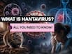 What is Hantavirus and why is everyone talking about it?