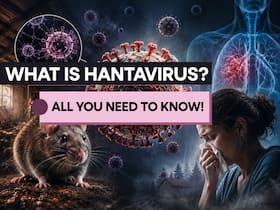 What is Hantavirus and why is everyone talking about it?