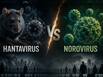 Hantavirus vs Norovirus: Which virus is more dangerous and can trigger a pandemic like COVID-19? Experts explain