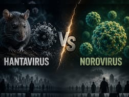 Hantavirus vs Norovirus: Which virus is more dangerous and can it trigger a pandemic like COVID-19? Expert explains