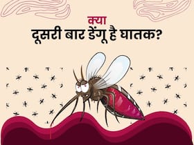 दूसरी बार डेंगू होना क्यों होता है घातक? वीडियो में डॉक्टर ने समझाई पूरी वजह