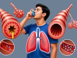 Asthma vs Normal Lungs: क्यों एक में सांस मुश्किल और दूसरे में आसान? जानें फेफड़े इन दोनों स्थितियों में कैसे करते हैं काम