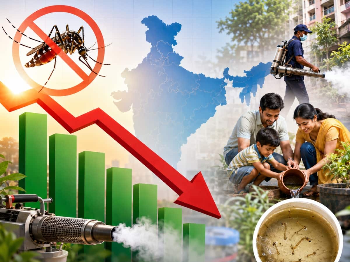 डेंगू मामलों में भारी गिरावट, कुछ राज्यों में 80% तक कमी