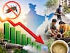 डेंगू के दौरान कौन-से फूड्स बढ़ाते हैं प्लेटलेट्स, किनसे बिगड़ सकती है हालत VIDEO में बता रहे हैं डॉक्टर