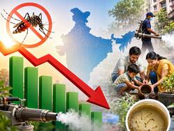 डेंगू के दौरान कौन-से फूड्स बढ़ाते हैं प्लेटलेट्स, किनसे बिगड़ सकती है हालत VIDEO में बता रहे हैं डॉक्टर