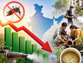 डेंगू पर लगाम! कुछ राज्यों में 80 फीसदी तक कम हुए केस, सरकार के ये कदम आए काम