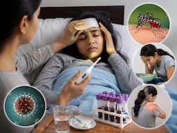 डेंगू के लक्षण कब दिखते हैं? पहले 48 घंटों में ऐसे करें कन्फर्म