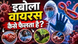 इबोला एक से दूसरे व्यक्ति में कैसे फैलता है? जानें इससे बचाव के लिए क्या करें