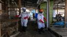 अफ्रीका के बाद यूरोप में मिले इबोला के 2 नए केस, CDC ने इन 10 देशों को बताया है High Risk