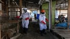 अफ्रीका के बाद यूरोप में मिले इबोला के 2 नए केस, CDC ने इन 10 देशों को बताया है High Risk