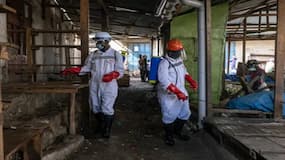 अफ्रीका के बाद यूरोप में मिले इबोला के 2 नए केस, CDC ने इन 10 देशों को बताया है High Risk अफ्रीका के बाद यूरोप में मिले इबोला के 2 नए केस, CDC ने इन 10 देशों को बताया है High Risk