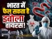 क्या भारत में भी फैल सकता है इबोला वायरस? जानें किन स्थितियों में वायरस ज्यादा संक्रामक हो सकता है