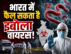 क्या भारत में भी फैल सकता है इबोला वायरस? जानें किन स्थितियों में वायरस ज्यादा संक्रामक हो सकता है