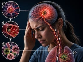 अगर इन्फेक्शन ब्रेन तक पहुंच जाता है तो क्या होगा? जानें एन्सेफलाइटिस के लक्षण अगर इन्फेक्शन ब्रेन तक पहुंच जाता है तो क्या होगा? जानें एन्सेफलाइटिस के लक्षण