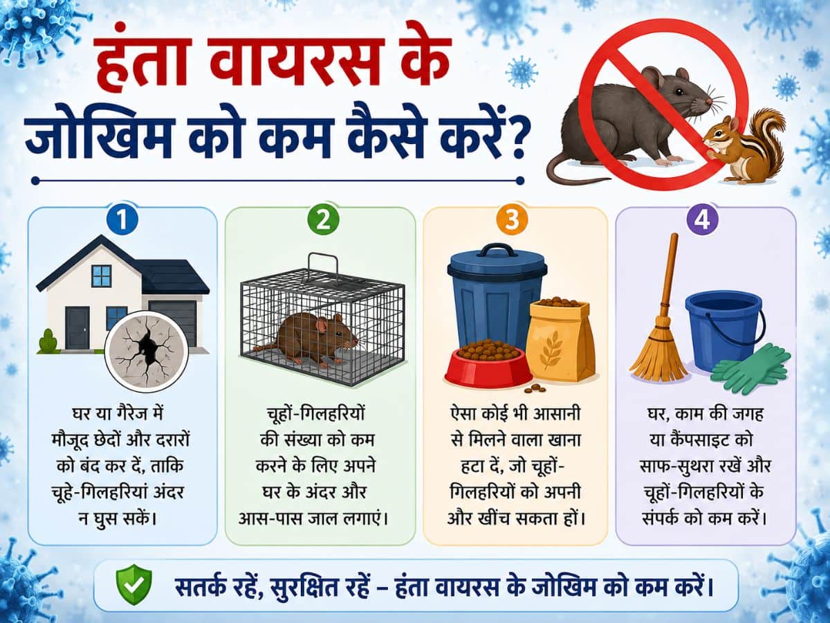 हंता वायरस के जोखिम को कम कैसे करें?