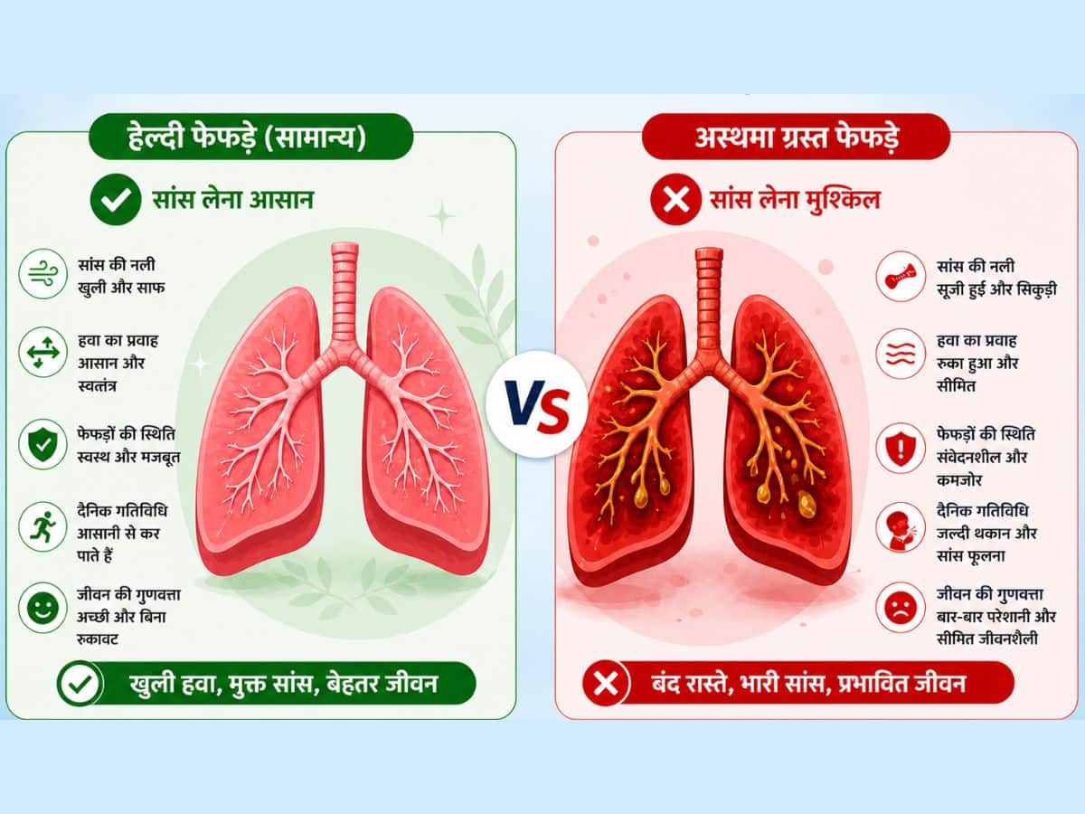 lungs