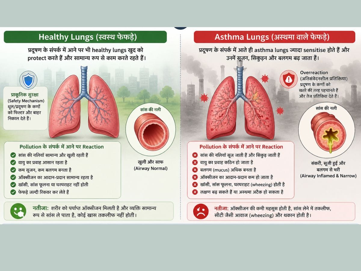 lungs in pollution