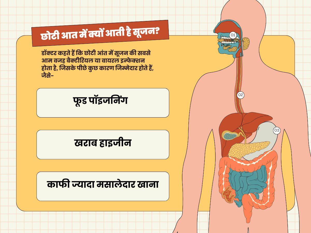 small intestine inflammation causes
