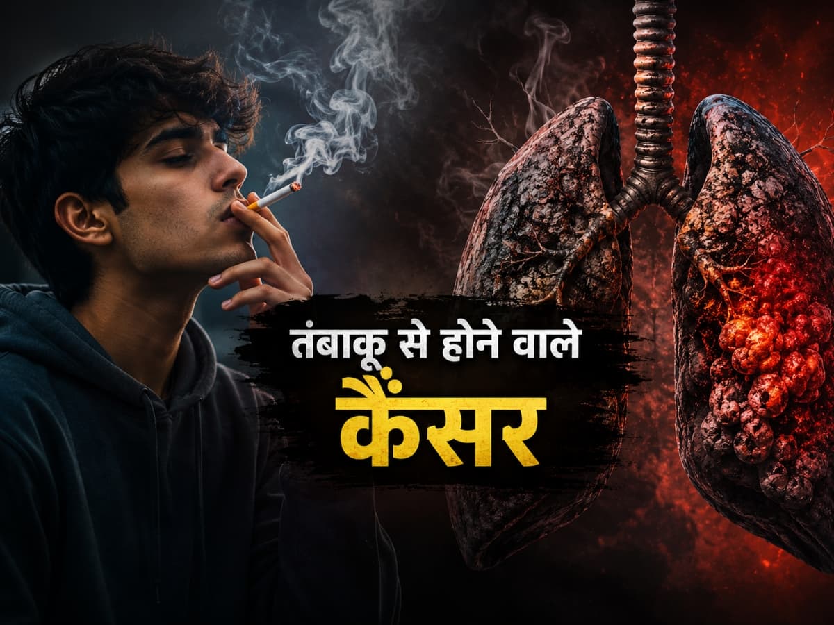 high price cigarette Price of Cigarettes in New York City Rises to All-Time High