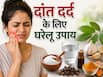 दांत दर्द कम कर सकते हैं ये 5 घरेलू उपाय, जानें इस्तेमाल का सही तरीका