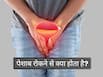 सफर और ट्रैफिक में पेशाब रोकना कितना खतरनाक है? किडनी खराब कर सकती है आपकी ये आदत
