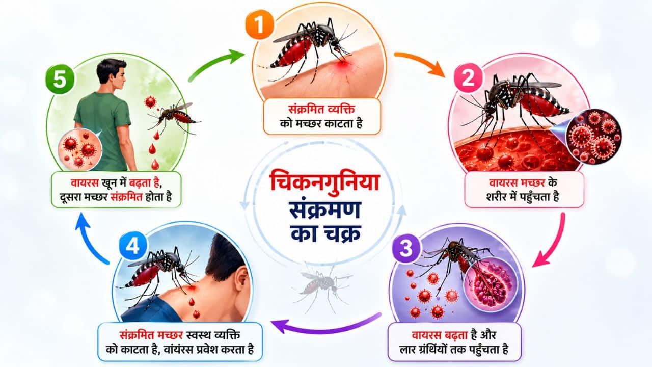 chikungunya (AI generated)
