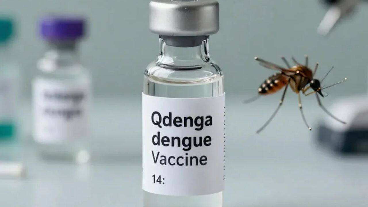 dengue vaccine