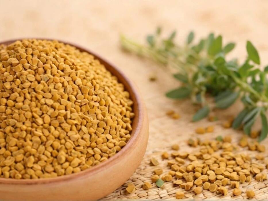 गर्मी में सिर पर खुजली रहती है तो ये 5 घरेलू उपाय आएंगे काम, इस तरह करें इस्तेमाल