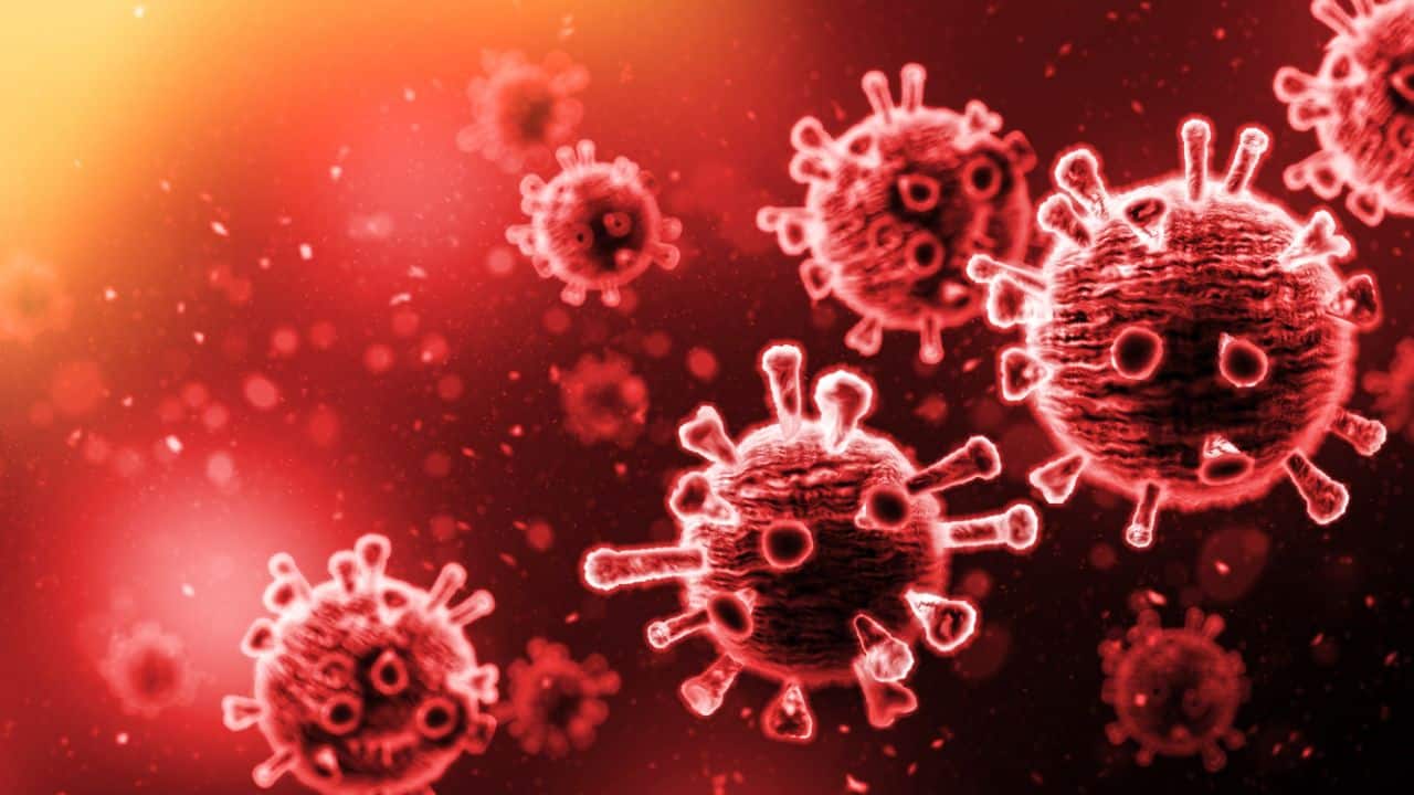 pneumonia virus